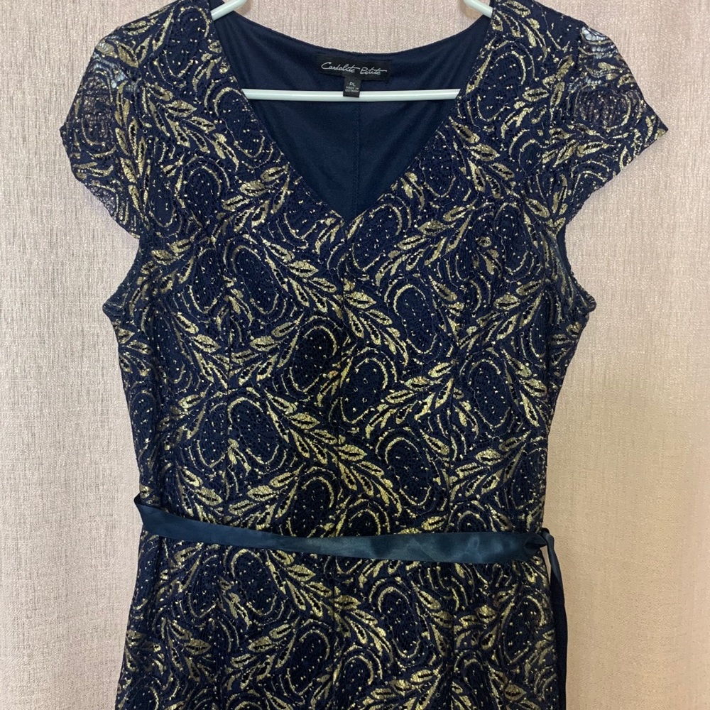 Special occasion/ Evening Dress